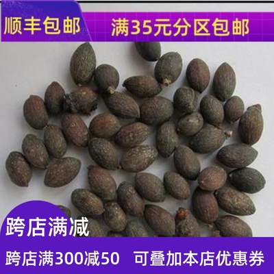 同仁堂中药材葵树子50g