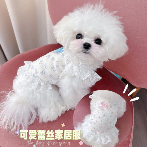 超小体棉奶狗家居服春夏可爱猫狗