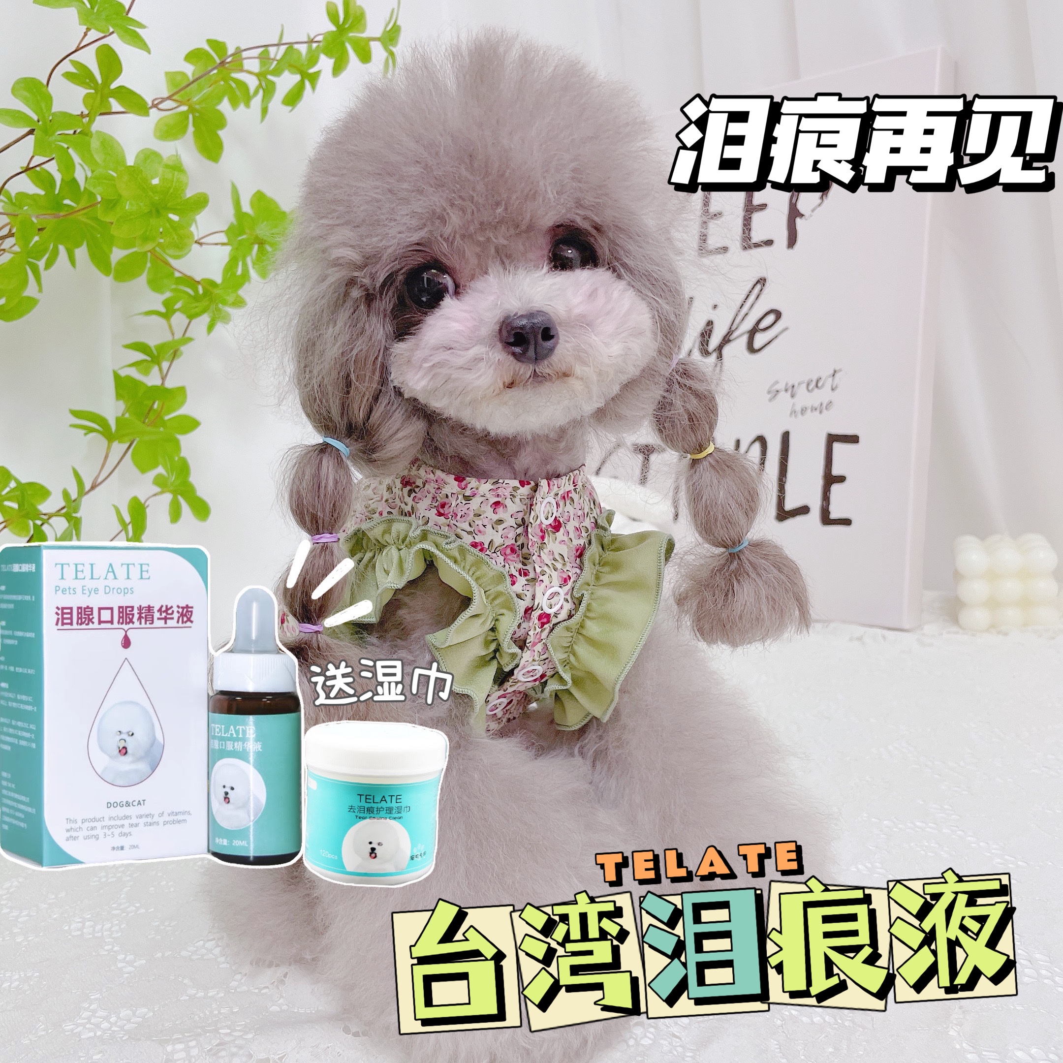 TELATE泪痕消泪腺狗狗泪痕神器