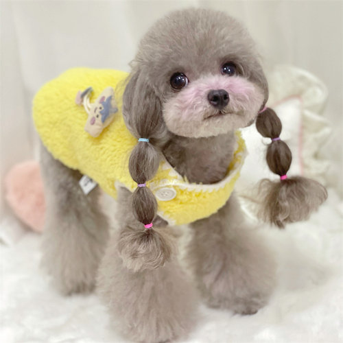 保暖羊羔绒比熊糯米小型犬