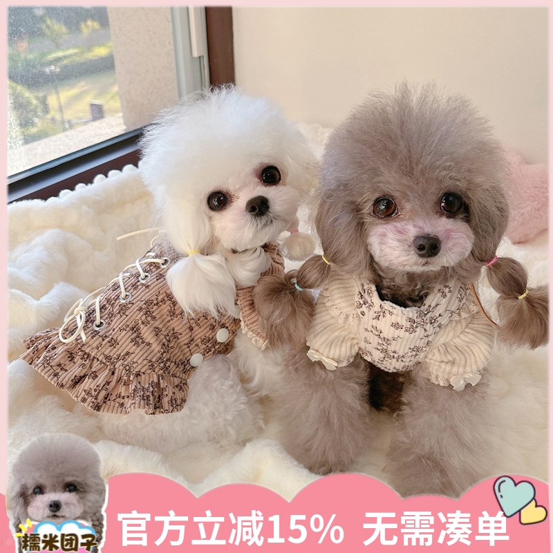 冬加绒美拉德复古灯芯绒绑带背带裙小型泰迪比熊小马保暖猫狗衣服