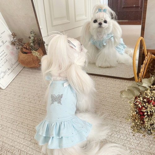 宠物连衣裙飞袖春秋黑色透气闪钻