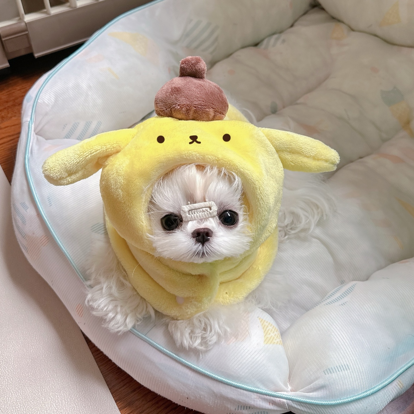 小狗加绒披风秋冬保暖宠物毯子