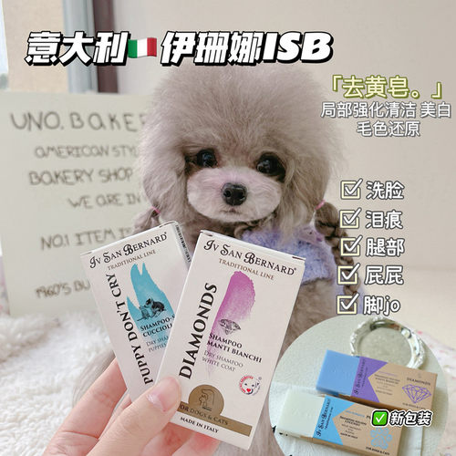 宠物黄皂胡子泪痕美白比熊博美