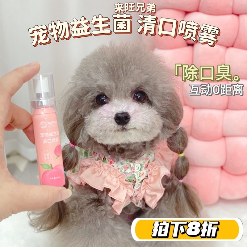 来旺兄弟除口臭益生菌口气清新