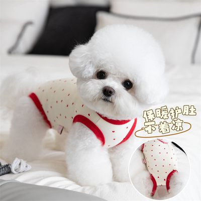 狗狗无袖包肚衣可爱保暖手术服