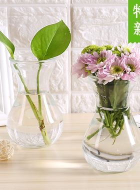 水培容器玻璃瓶透明植物工艺品