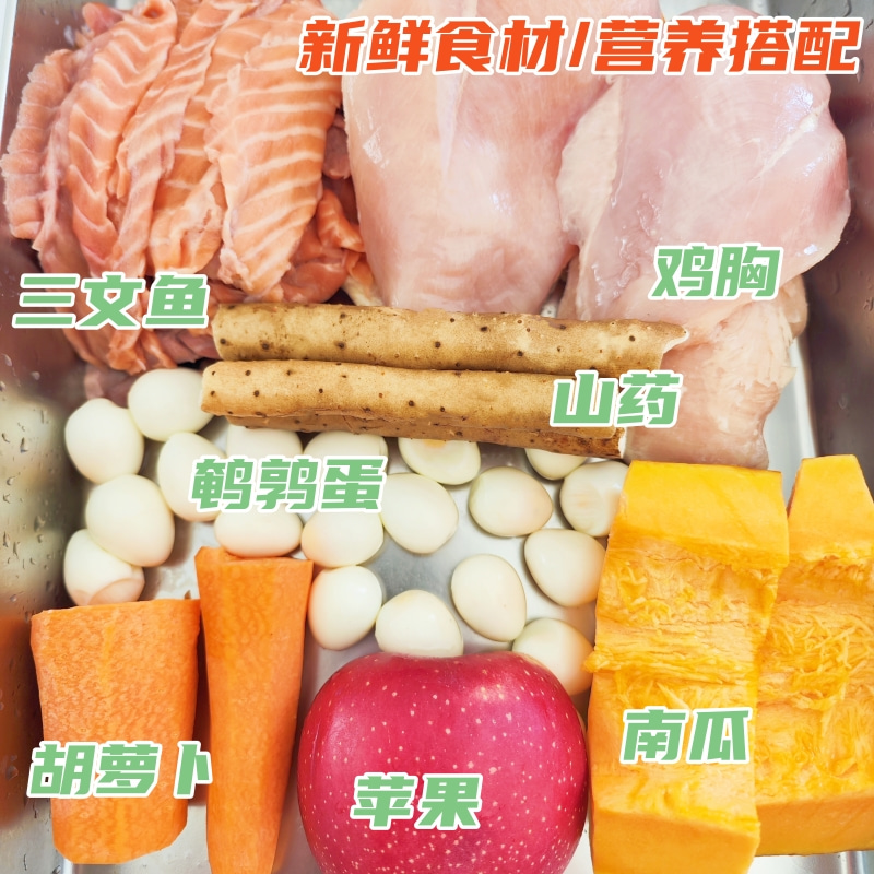 鸡胸三文鱼肉蛋湿粮老年犬幼犬狗狗零食狗狗鲜粮鲜肉营养餐包狗粮