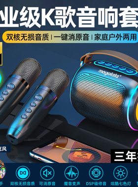 无线蓝牙音箱家用k歌音响话筒麦克风户外重低音唱歌家庭ktv可充电