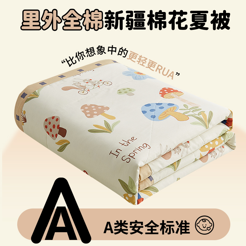 夏季纯棉夏凉被四件套可机洗全棉棉花空调被芯单人儿童春秋薄被子