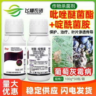鑫星38%唑醚啶酰菌胺吡唑醚菌酯葡萄灰霉病预防治疗农药杀菌剂
