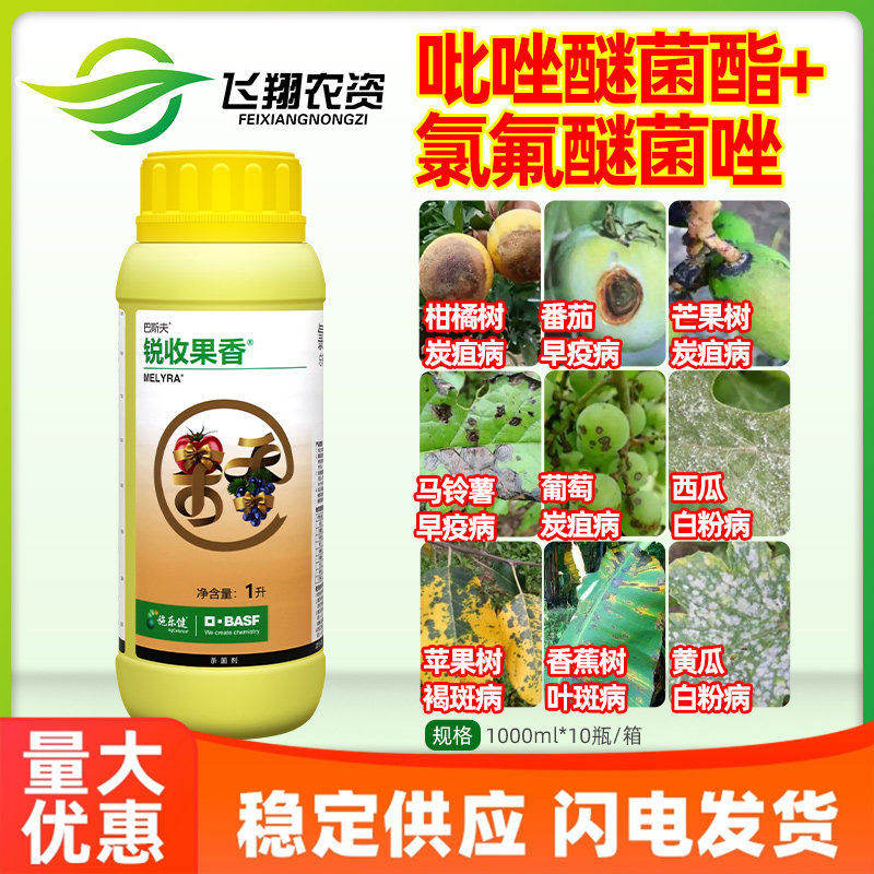锐收果香巴斯夫40%氯氟醚吡唑酯白粉病早疫叶斑炭疽病农药杀菌剂
