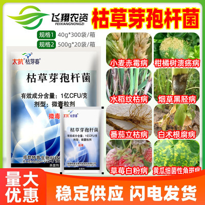 太抗枯芽春枯草芽孢菌杆菌白粉溃疡病纹枯赤霉病立枯根腐病杀菌剂