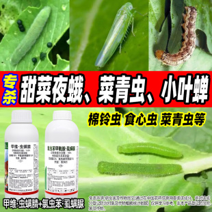 甜菜夜蛾菜青虫食心虫专用甲维虫螨腈氯虫苯虱螨脲农药杀虫剂组合