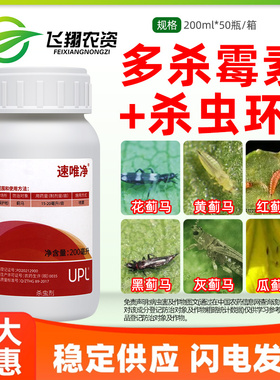 UPL速唯净33%多杀霉素·杀虫环黄瓜蓟马可分散油悬浮剂农药杀虫剂
