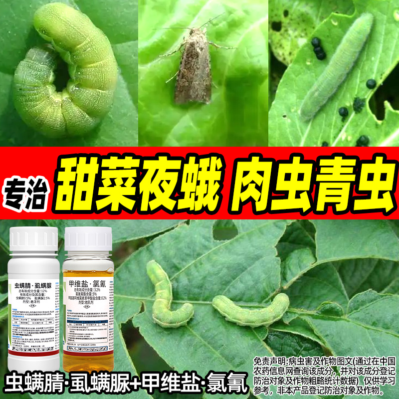 甜菜夜蛾蔬菜甘蓝菜青虫二化螟小夜蛾肉虫棉铃虫专用农药杀虫组合
