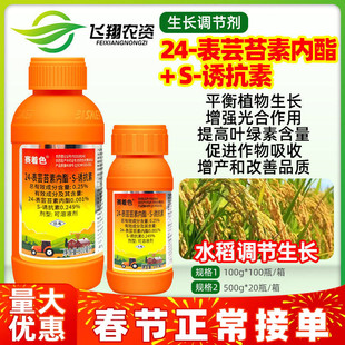 比赛尔赛着色24表芸苔素内酯S诱抗素水稻细胞分裂延长增产调节剂