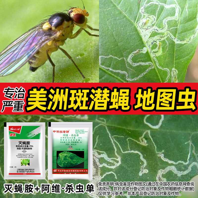 蔬菜黄瓜番茄美洲斑潜蝇杀鬼画符地图虫灭蝇胺阿维杀虫单专用组合