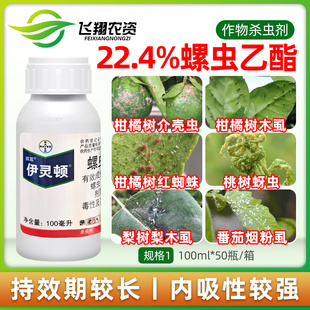 拜耳伊灵顿 22.4%螺虫乙酯柑橘红蜘蛛烟粉虱介壳蚜虫亩旺特杀虫剂