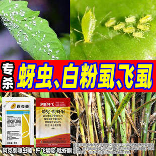 抗性害虫组合噻虫嗪烯啶吡蚜酮蚜虫飞虱蓟马绿叶蝉介壳虫杀虫剂