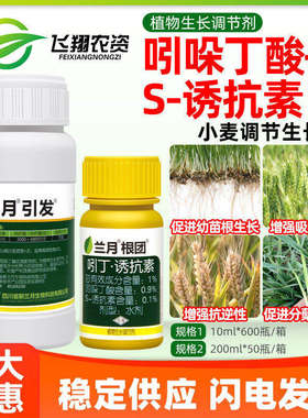 兰月根团引发1%吲哚丁酸诱抗素小麦抗逆壮根壮苗植物生长调节剂