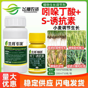 兰月根团 1%吲哚丁酸诱抗素小麦抗逆壮根分蘖壮苗植物生长调节剂