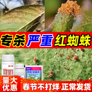 红蜘蛛专用药爱卡螨金满枝阿维哒螨灵联苯肼酯乙螨唑杀虫杀螨组合