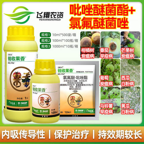巴斯夫锐收果香40%氯氟醚·吡唑酯白粉病炭疽病早疫叶斑病杀菌剂