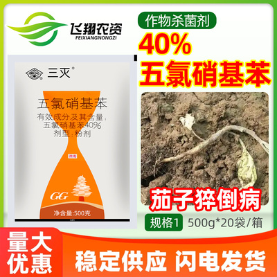 国光三灭40%五氯硝基苯土壤处理防治茄子猝倒病保护性农药杀菌剂