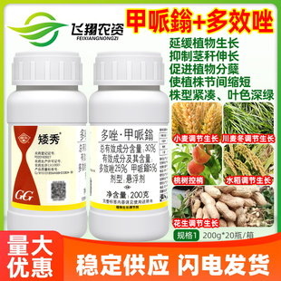 国光矮秀30%多效唑甲哌鎓小麦水稻花生桃树控梢控旺矮壮素调节剂