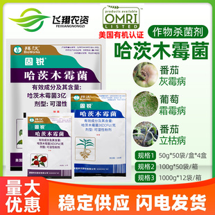 美国拜沃 哈茨木霉菌 番茄灰霉病黄瓜霜霉病立枯病有机农药杀菌剂