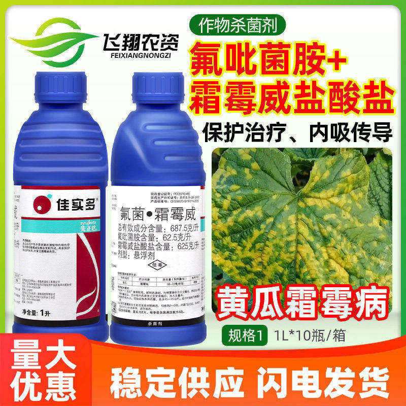 先正达佳实多氟吡菌胺霜霉威盐酸盐黄瓜霜霉病保护治疗农药杀菌剂