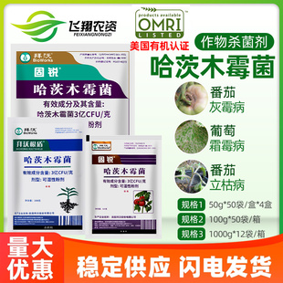 美国拜沃 哈茨木霉菌 番茄灰霉病黄瓜霜霉病立枯病有机农药杀菌剂