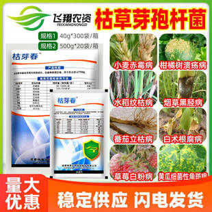 太抗枯芽春枯草芽孢菌杆菌白粉溃疡病纹枯赤霉病立枯根腐病杀菌剂