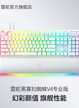 雷蛇黑寡妇蜘蛛V4专业版