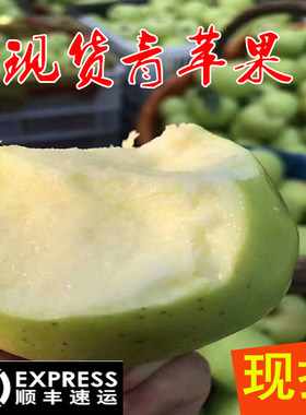 2026年山现货青苹果新鲜