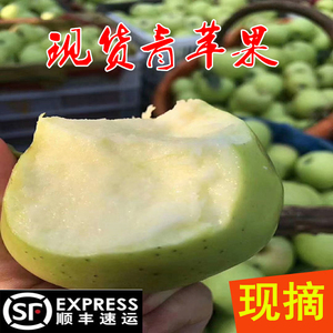 2026年山现货青苹果新鲜