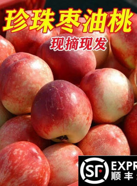 老树枣油桃纯甜枣桃孕妇水果顺丰