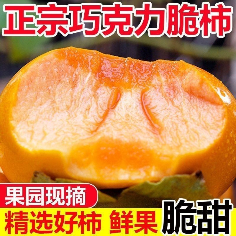 山西现摘早秋冰糖心脆甜大果柿子