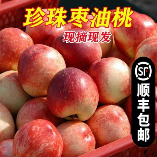 老树珍珠枣油桃香甜纯甜3斤装