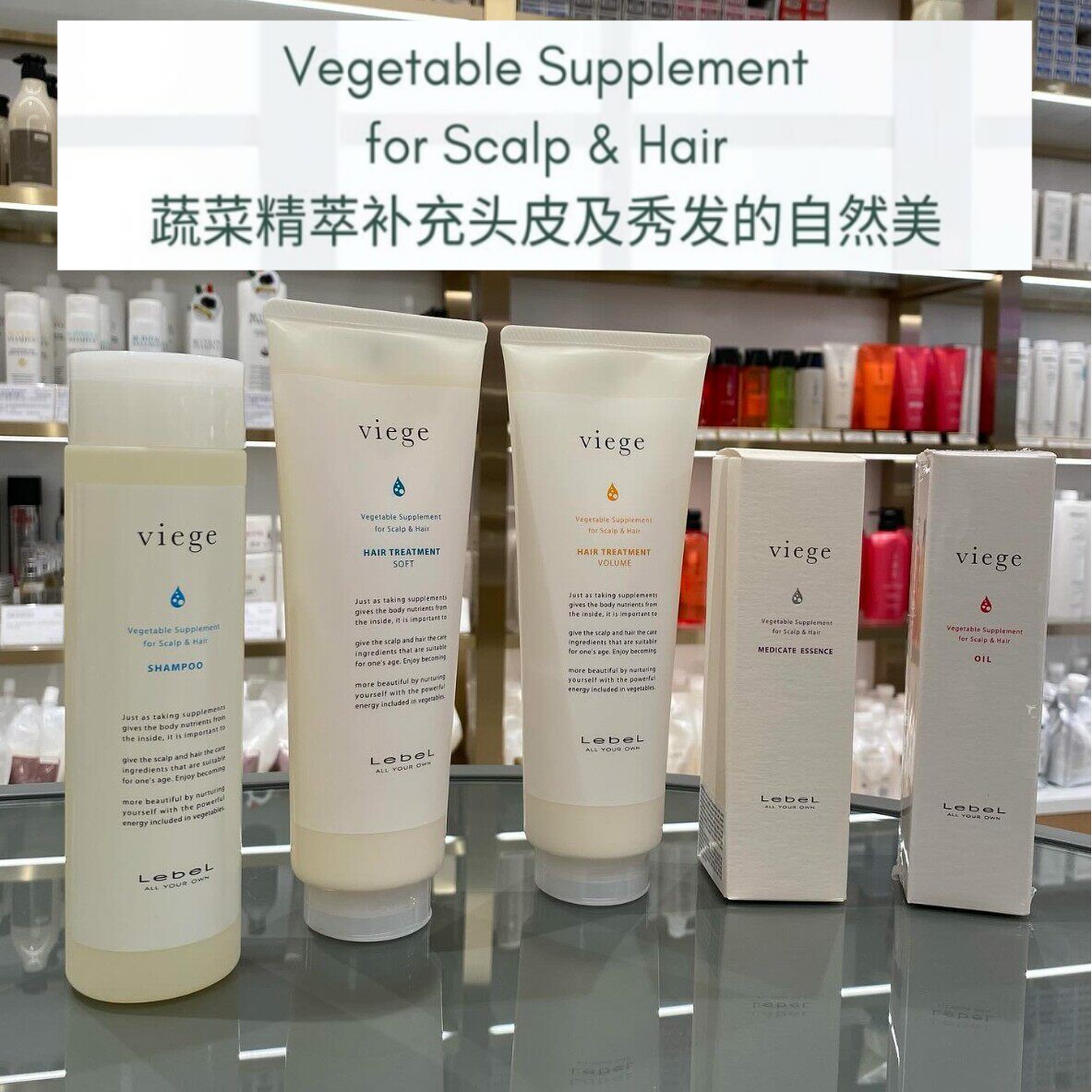 推荐~日本美发沙龙Viege 蔬果精华保湿洗发水护发素头皮抗衰护理