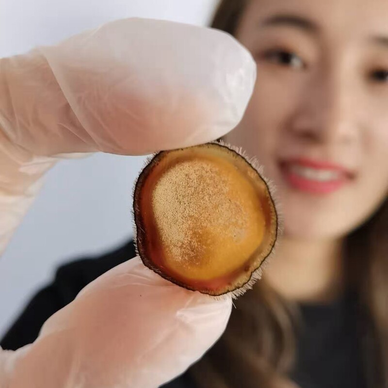 老崔头 吉林鹿茸片男性正宗半蜡片10克 泡水正品干片泡酒含血丰富
