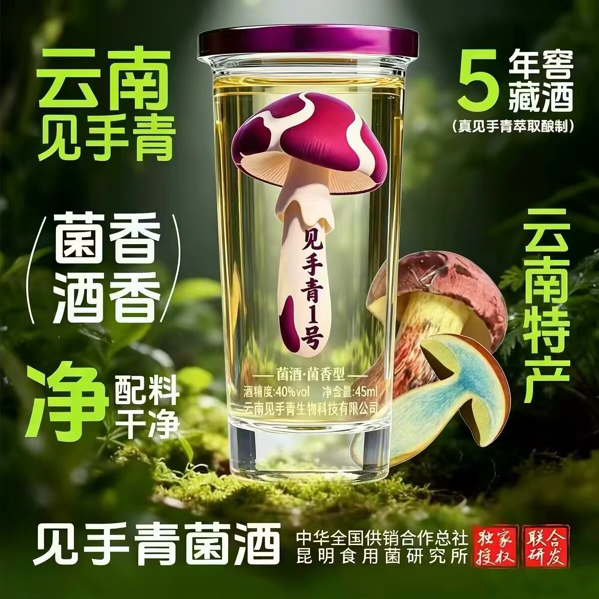 新品上新—云南大理特产见手青菌酒露酒口杯酒白酒盒装纯粮酿造