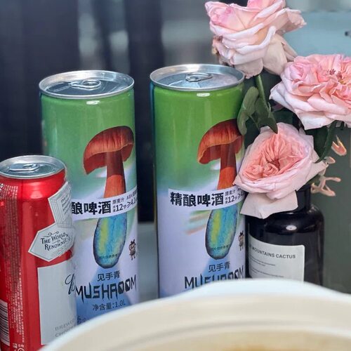云南见手青大理啤酒1L野生菌