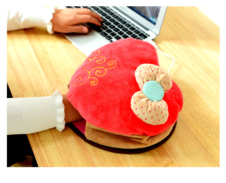 Coussin chauffant USB Le Japon et la Corée du Sud - Ref 423635 Image 1