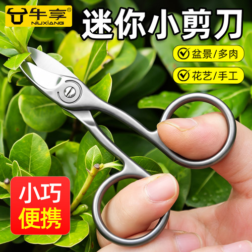 不锈钢迷你小剪刀便携多肉修剪花