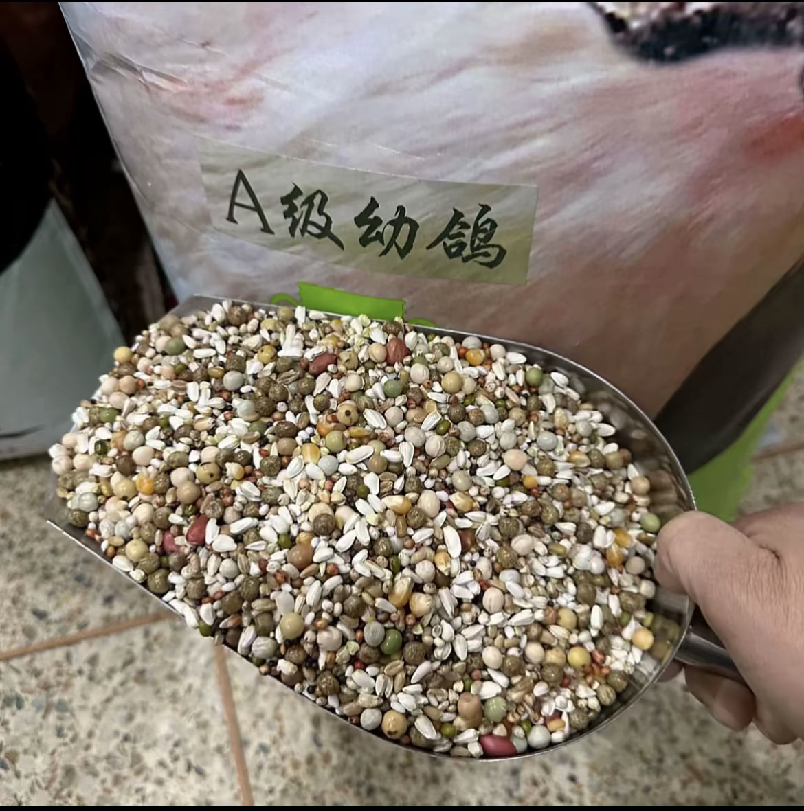天津佳翔至远A级幼鸽粮带花生鸽子粮食幼鸽种鸽赛鸽粮食冬季饲料图片