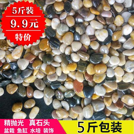 天然白石子雨花石鱼缸花盆养花白色小石头庭院阳台铺地彩色鹅卵石