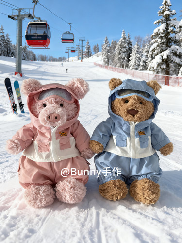 现货手作自制圣诞新品自制巴熊巴猪海盗狗兔兔圣诞滑雪服冬季衣服