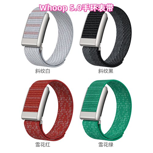 适用WhoopWP5.0双色弹力运动表带